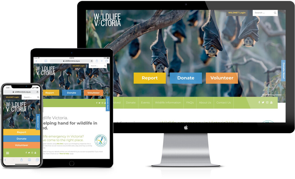 Wildlife Victoria responsive example