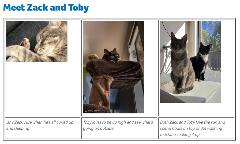 An example of a page layout with cat images in one row, and captions in another row