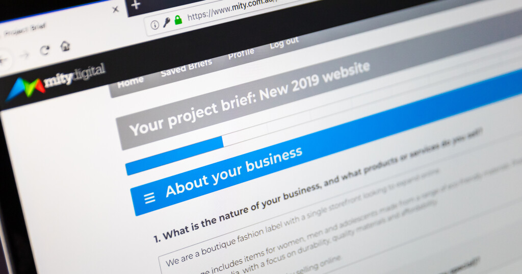 The Project Brief