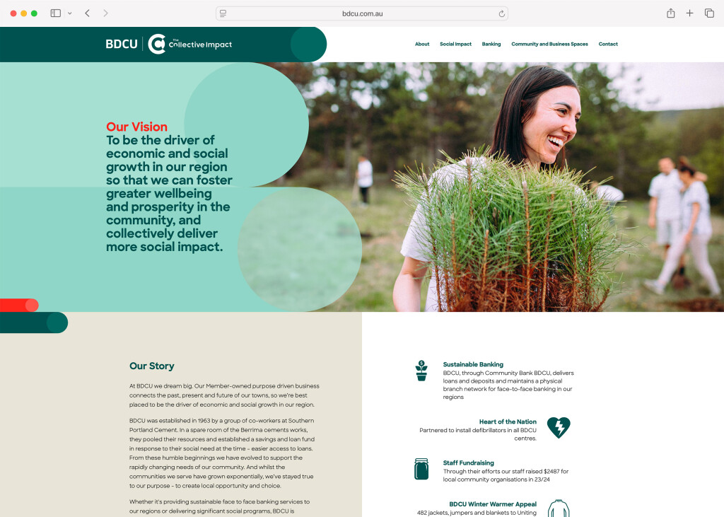 Screenshot of the desktop variant of the BDCU site